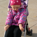 Bundled