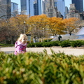 Hide and Seek