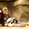 Mama Penguin