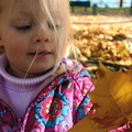 Found a Leaf