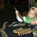 Paleontologist