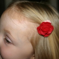 Red Rose