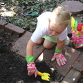 Gardening