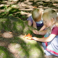 Building Houses for Fairies