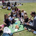 Ellis Square Picnic