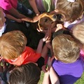 Therapy Dog Mob
