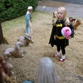 Batgirl Before the Manger