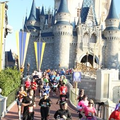 Through Cinderella's Castle