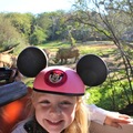 Safari Ride