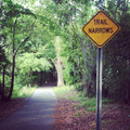 Trail Narrows