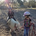 Pony Ride