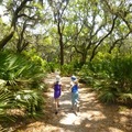 Path to the Beach