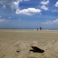 Cumberland Island