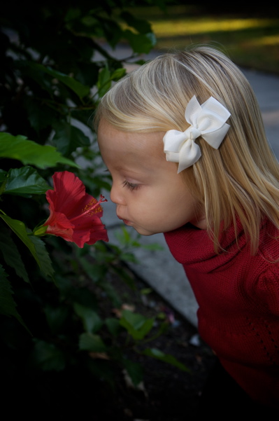 Sweet as a Flower