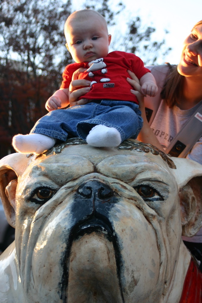Baby on a Bulldog