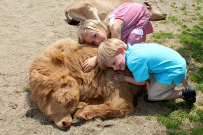 Cousins with Baby Calf