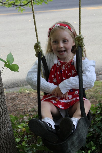 The Tire Swing