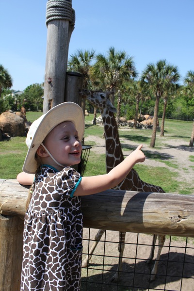 Our giraffe