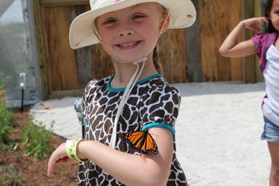 With a butterfly