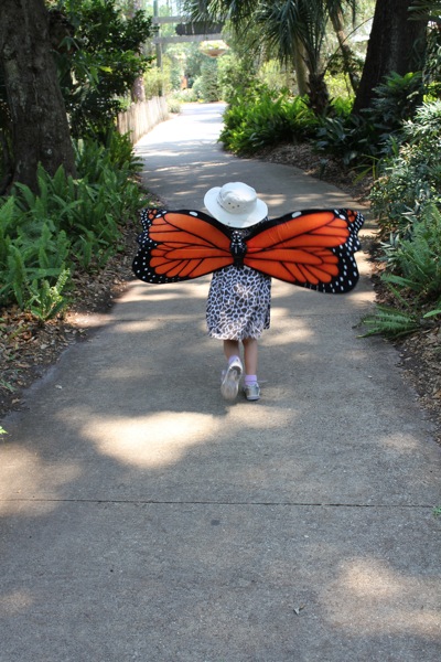 Our butterfly
