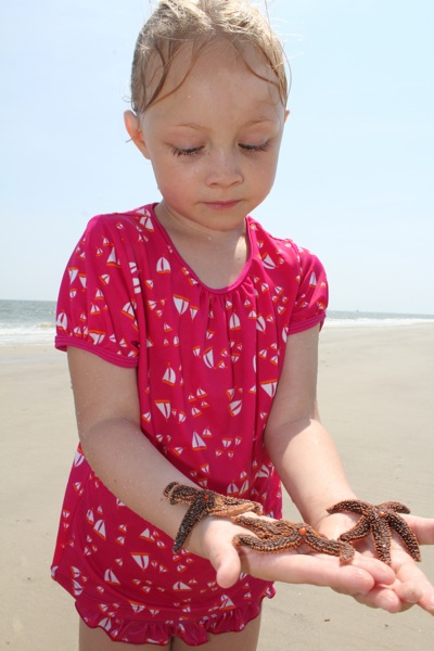 Saving Sea Stars