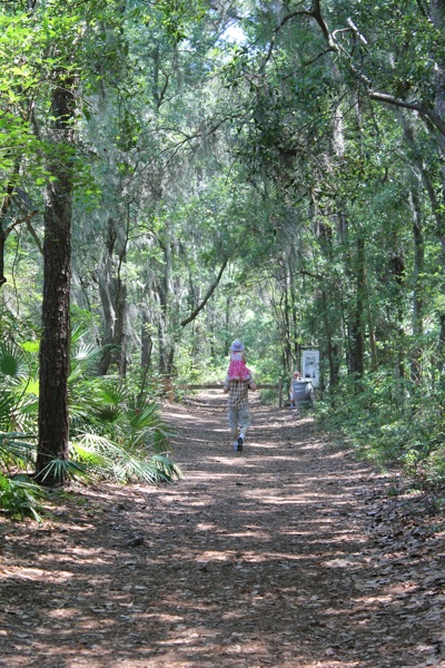 The Path to the Wolf House