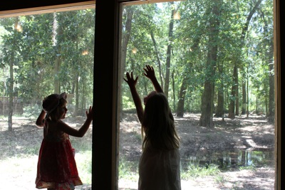 The Wolf Cabin