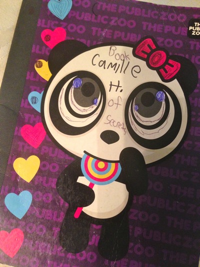 Camille's Book of Secrets