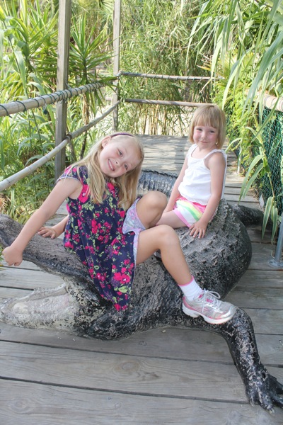 Taming Gators at the Crab Shack