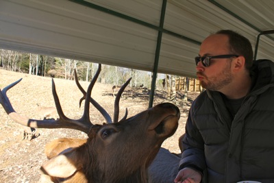 Daddy Loves Mr. Deer