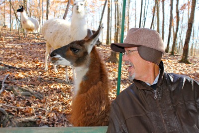 Granddaddy and His Friend the Llama