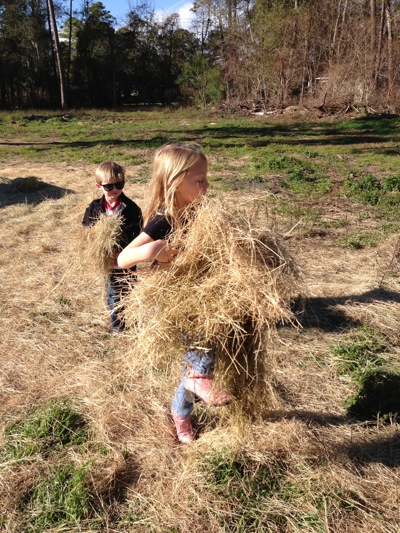 Barn Helpers