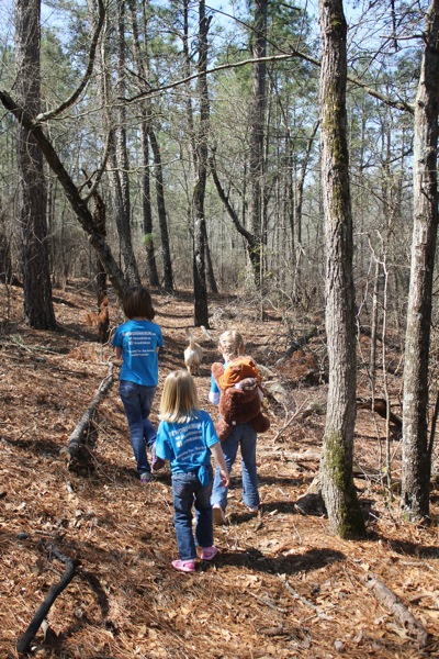 Exploring the Trail