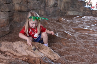 Paleontologist At Work