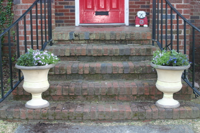 Flowers for the steps