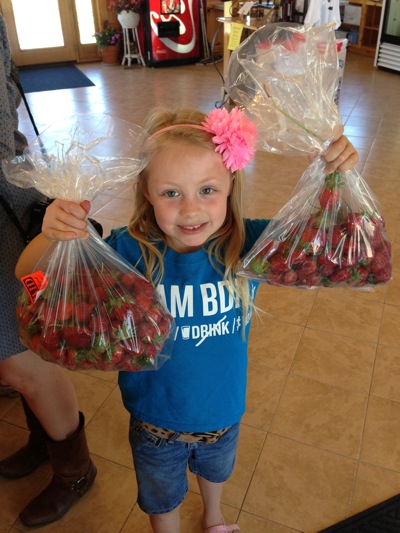 That's about 7 pounds of strawberries right there...