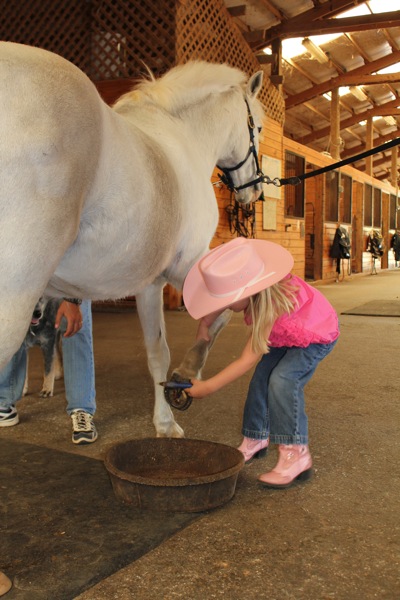 Hoof Cleaning