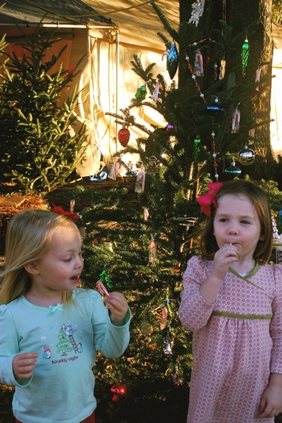 Candy canes are the best!