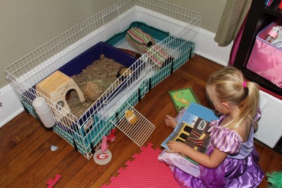 Reading to Piglet