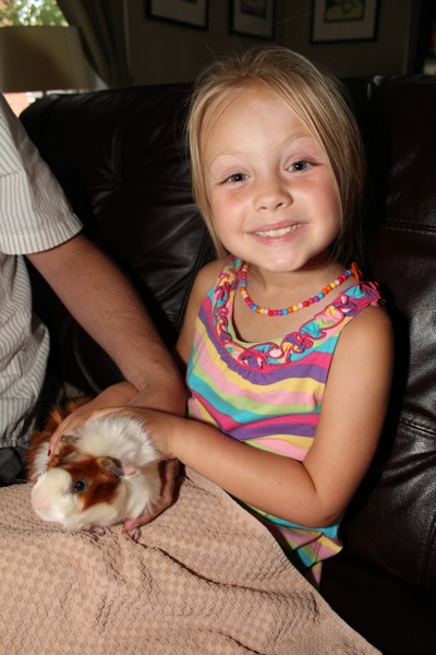 A Girl and Her Guinea PIg
