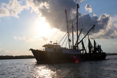 Shrimper
