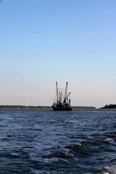 Shrimp Boat