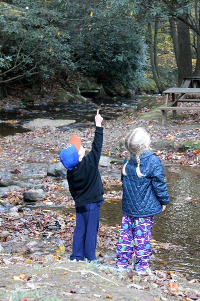 By the Creek