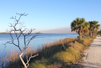 Late Afternoon on the Trail