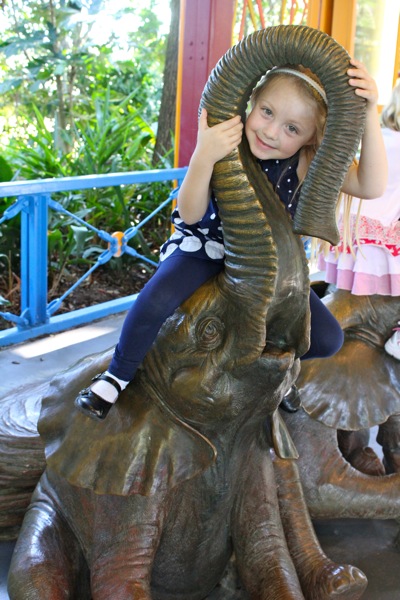 At Animal Kingdom