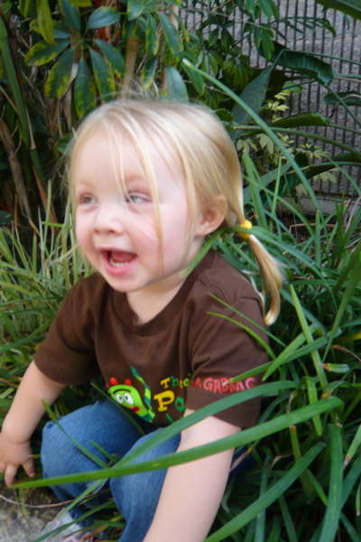 In the Jungle