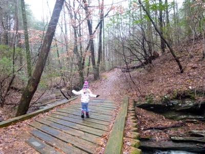 Trail to the Lower Falls