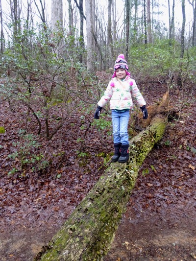 Nature's Balance Beam
