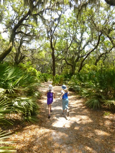 Path to the Beach