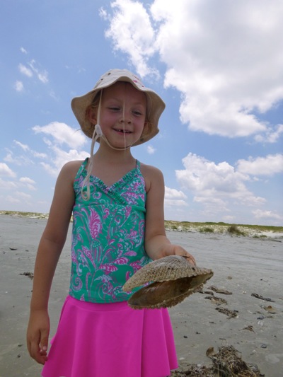 Collecting Shells